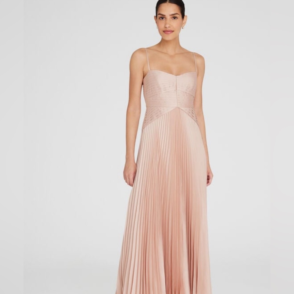 Club Monaco Blush Pink Pleated Maxi Dress